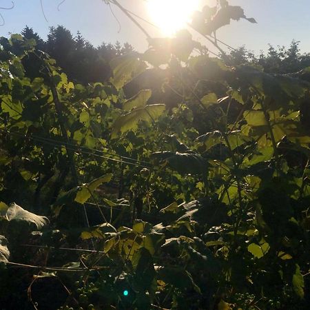 Winzerhaeuschen Kern Fehring Exterior foto