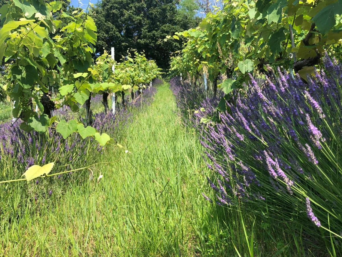 Winzerhaeuschen Kern Fehring Exterior foto