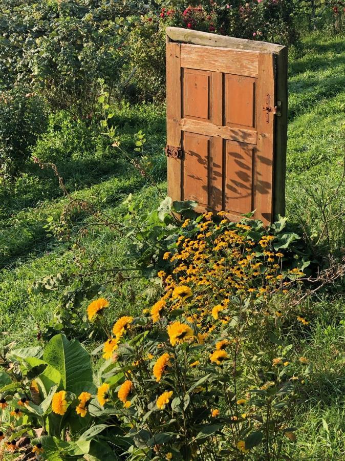 Winzerhaeuschen Kern Fehring Exterior foto